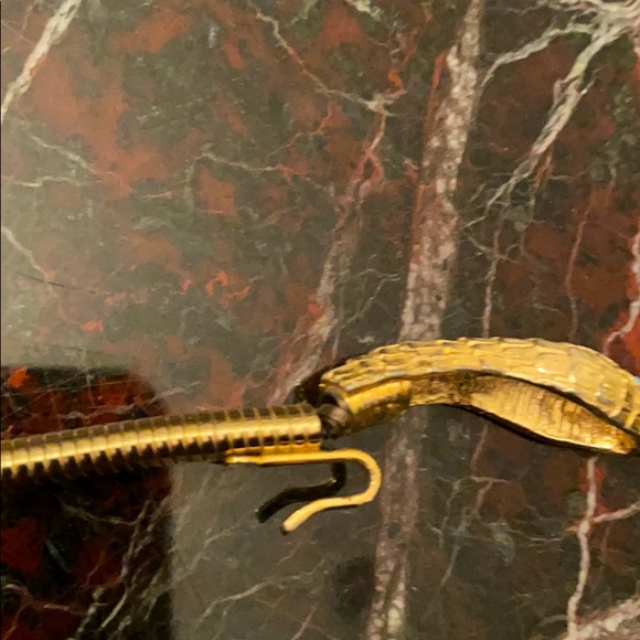 Snake belt main image 6